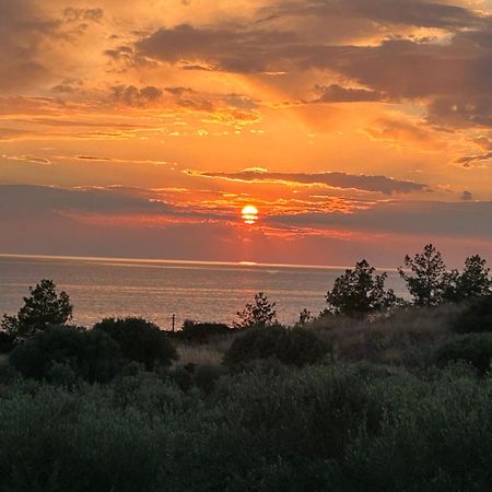 Villa Olymp ネア・ポティダイア エクステリア 写真